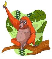 orangutan vettore illustrazione