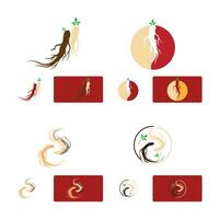 ginseng vettore icona illustrazione design