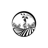 Mais agricoltura logo. agricoltura logo modello vettore