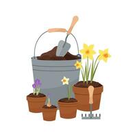 primavera giardino attrezzatura. vettore illustrazione di piantare narciso e croco fiori. pentole per piantare fiori.
