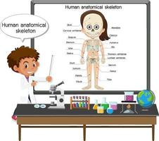 giovane medico che spiega lo scheletro anatomico umano vettore