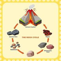 diagramma che mostra il ciclo delle rocce vettore