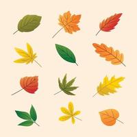 set di foglie d'autunno