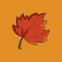 cartone animato illustrazione di acero foglia. autunno acero albero foglia per il design di saluto carte, vacanza striscioni, e manifesti. autunno foglia cartone animato illustrazione vettore