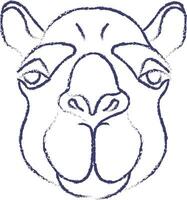 cammello viso mano disegnato vettore illustrazione