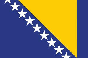 piatto illustrazione di bosnia e erzegovina bandiera. bosnia e erzegovina bandiera design. nazionale bandiera di bosnia e erzegovina. vettore