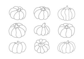 mano disegnato scarabocchio vario zucche impostare. impostato di semplice schema zucche. isolato su bianca sfondo. vettore