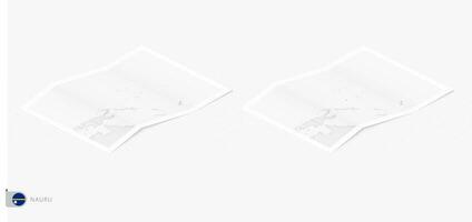 impostato di Due realistico carta geografica di nauru con ombra. il bandiera e carta geografica di nauru nel isometrico stile. vettore
