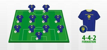 Oregon nazionale calcio squadra formazione su calcio campo. vettore