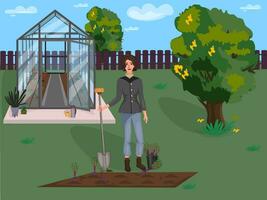 giardino opera. raccolta. un' donna scava verdure a partire dal un' giardino letto. serra. giardino nel presto autunno. vettore illustrazione