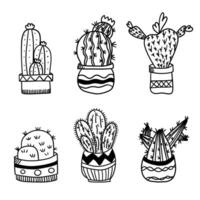 cactus. cactus e succulente . mano disegnato scarabocchio schema cactus con fiore. vettore