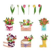 un set di tulipani, fiori in scatola rotonda, vaso e busta vettore