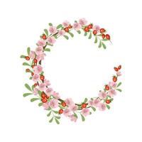 corona di rosa canina. cornice rotonda, fiori rosa carini rosa frutti rossi red vettore