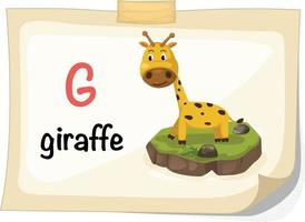 alfabeto animale lettera g per illustrazione giraffa vettore
