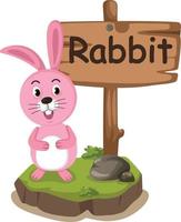 lettera r dell'alfabeto animale per il coniglio vettore