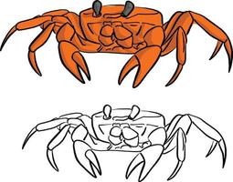 schizzo di illustrazione vettoriale di granchio arancione scarabocchio disegnato a mano