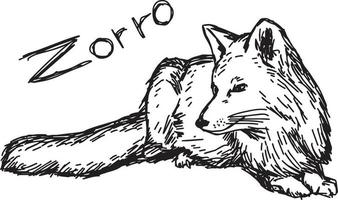 zorro sdraiato - illustrazione vettoriale schizzo disegnato a mano