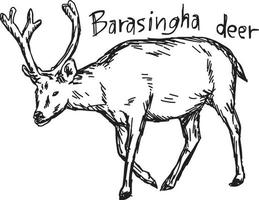 cervo barasingha - illustrazione vettoriale schizzo disegnato a mano