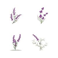 lavanda logo modello simbolo vettore natura