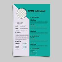 professionale curriculum vitae CV vettore grafico modelli