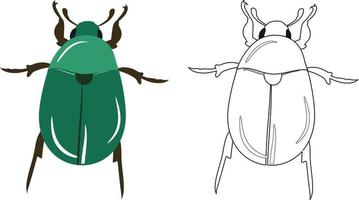 contorno di illustrazione vettoriale di scarabeo o coleottero