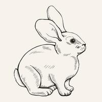 disegnato a mano grafico coniglietto disegno. simbolo di 2023. vettore monocromatico illustrazione.