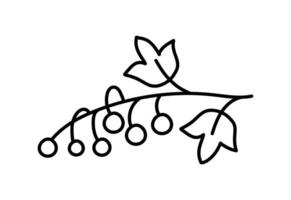 mano disegnato linea rosso ribes frutta frutti di bosco schema icona vettore scarabocchio illustrazione, adatto per colorazione prenotare, logo, illustrazione, etichetta, copertina