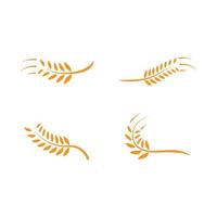 modello di logo di grano vettore