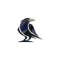 uccello logo design con astratto viola colore vettore