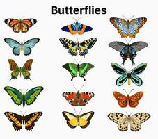 farfalle vettore illustrazione