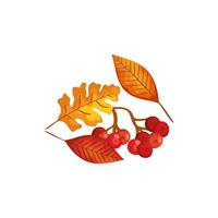 stagione foglie autunnali con frutta icona isolata vettore