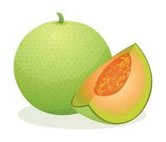 melone totale e affettato. frutta vettore illustrazione isolato su bianca sfondo