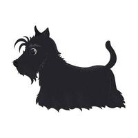 illustrazione con carino cartone animato Scozzese terrier nel piatto stile. isolato vettore arte con cane su bianca sfondo. nero cucciolo per Stampa, cartolina. animale carattere.