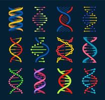 dna eliche e gene molecole. genetica scienza vettore