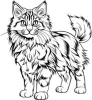 gatto realistico animale vettore illustrazione colorazione pagina