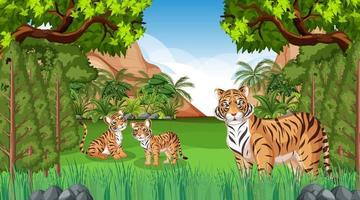 scena della foresta o della foresta pluviale con la famiglia della tigre vettore