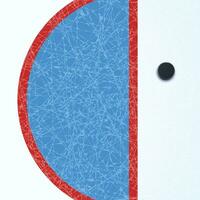 hockey superficie con disco vettore
