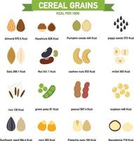 chilocalorie in chicchi di cereali per 100 grammi infographics.vector vettore