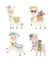 collezione di un' carino llamas vettore