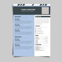 curriculum vitae CV vettore grafico modelli