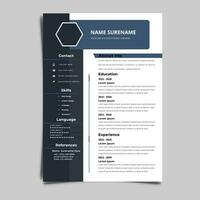 curriculum vitae CV vettore grafico modelli