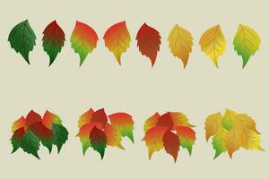 autunno foglia impostato elementi vettore illustrazione