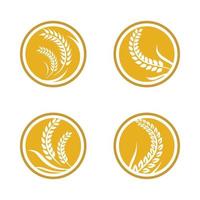 immagini del logo di grano vettore