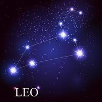 segno zodiacale leone delle bellissime stelle luminose vettore