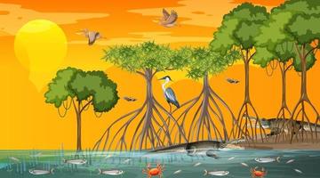 paesaggio della foresta di mangrovie all'ora del tramonto con molti animali diversi vettore