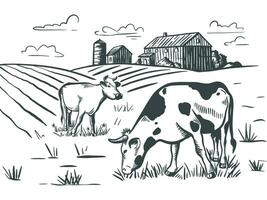 mucche pascolare nel prato vicino azienda agricola mano incisione vettore