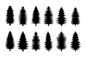 pino albero sagome vettore raccolta.vettore illustrazione di pino alberi silhouette