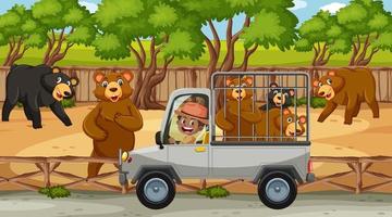 scena di safari con molti orsi nell'auto della gabbia vettore