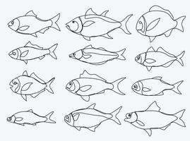 scarabocchiare schizzo a mano libera disegno continuo della collezione di pesci.