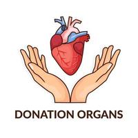 organi di donazione. cuore donato per trapianto cardiaco vettore